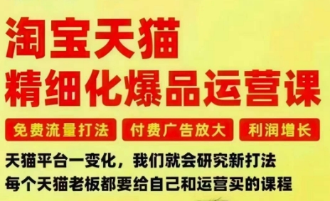 淘宝天猫精细化爆品运营课，免费流量打法-付费广告放大-利润增长-三大核心痛点，一次全部解决-吾爱网创