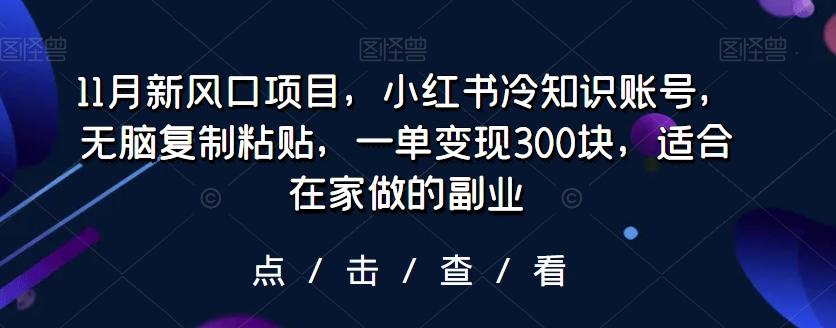 11月新风口项目，小红书冷知识账号，无脑复制粘贴，一单变现300块，适合在家做的副业-吾爱网创