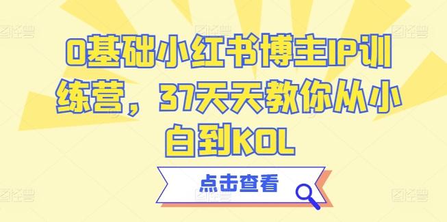 0基础小红书博主IP训练营，37天天教你从小白到KOL-吾爱网创