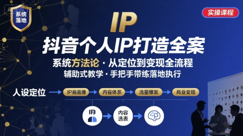 抖音个人IP系统落地实操大课，实操课程，辅助落地-吾爱网创