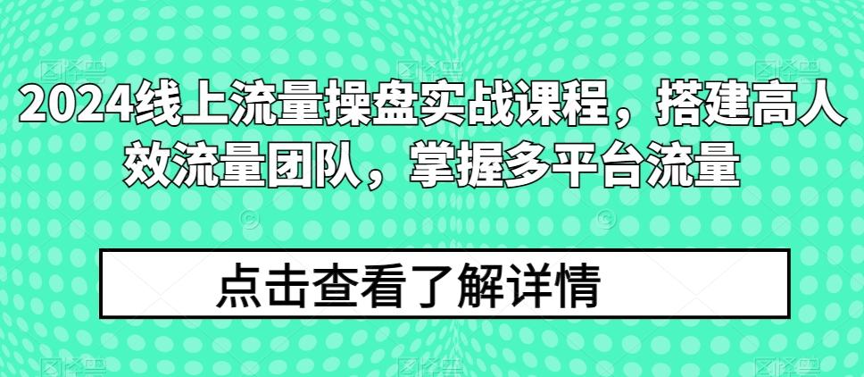 2024线上流量操盘实战课程，搭建高人效流量团队，掌握多平台流量-吾爱网创