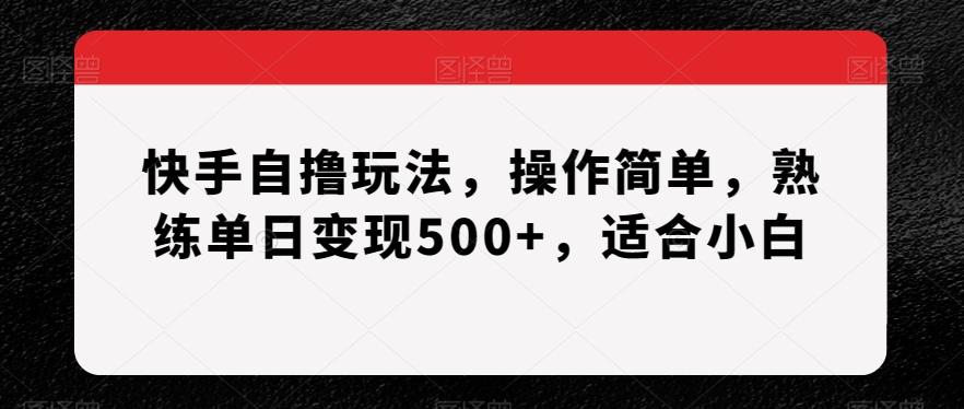 快手自撸玩法，操作简单，熟练单日变现500+，适合小白【揭秘】-吾爱网创