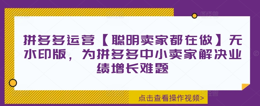 拼多多运营【聪明卖家都在做】无水印版，为拼多多中小卖家解决业绩增长难题-吾爱网创