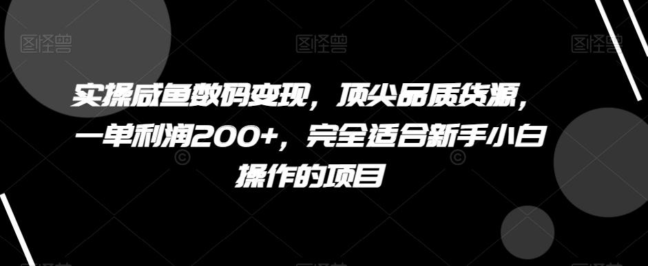 实操咸鱼数码变现，顶尖品质货源，一单利润200+，完全适合新手小白操作的项目【揭秘】-吾爱网创