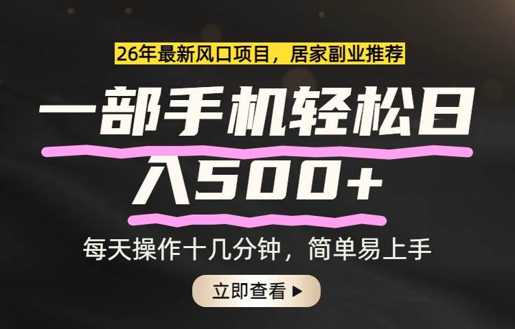 （17680期）26年居家副业首选，一部手机轻松日入500+，长期稳定可做-吾爱网创