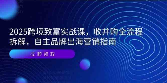 2025跨境致富实战课，收并购全流程拆解，自主品牌出海营销指南-吾爱网创