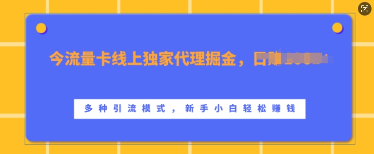 流量卡线上独家代理掘金，日入1k+ ，多种引流模式，新手小白轻松上手【揭秘】-吾爱网创