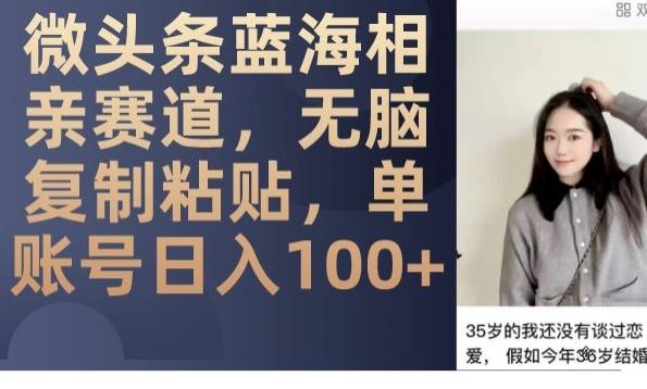 微头条蓝海相亲赛道，无脑复制粘贴，单账号日入100+-吾爱网创