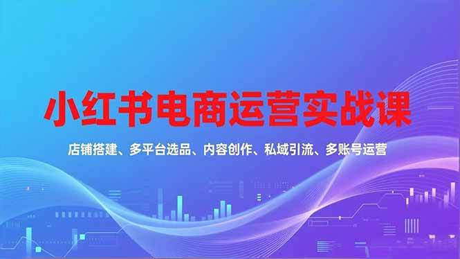 (16695期)小红书电商运营实战课,店铺搭建、多平台选品、内容创作、私域引流、多账号运营等玩法-吾爱网创