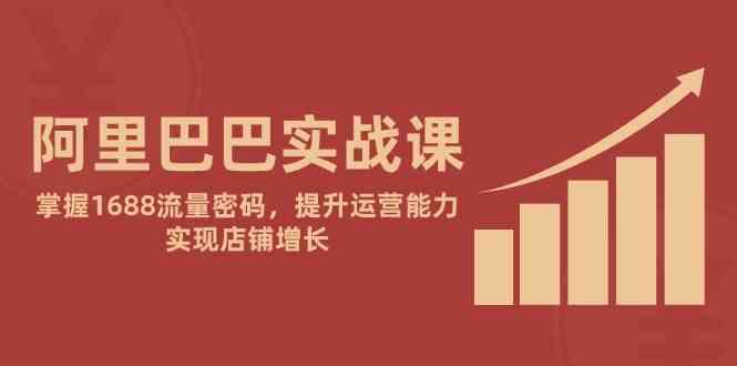 阿里巴巴实战课：掌握1688流量密码，提升运营能力，实现店铺增长-吾爱网创