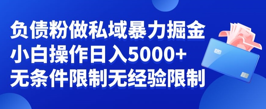 负债粉私域暴力掘金，小白操作入5000，无经验限制，无条件限制【揭秘】-吾爱网创