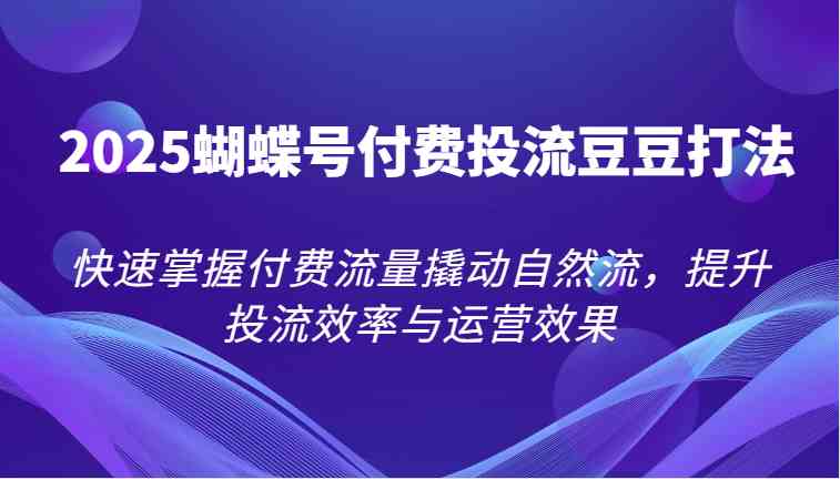 2025蝴蝶号付费投流豆豆打法，快速掌握付费流量撬动自然流，提升投流效率与运营效果-吾爱网创