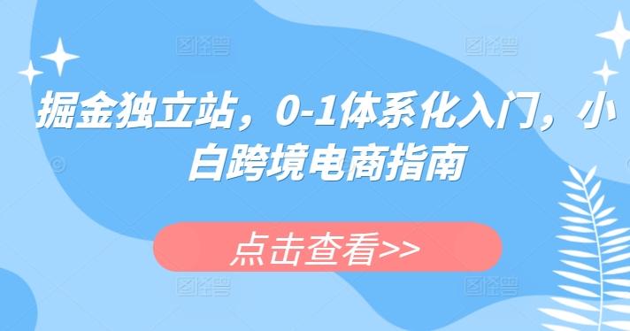 掘金独立站，0-1体系化入门，小白跨境电商指南-吾爱网创