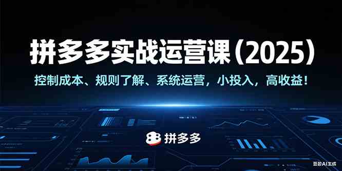 拼多多实战运营课（2025），控制成本、规则了解、系统运营，小投入，高收益！-吾爱网创