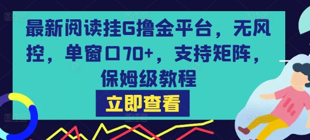 最新阅读挂G撸金平台，无风控，单窗口70+，支持矩阵，保姆级教程【揭秘】-吾爱网创