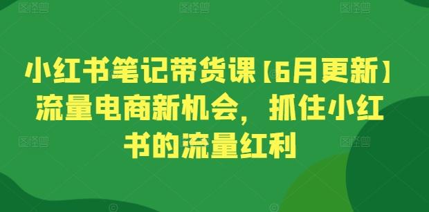 小红书笔记带货课【6月更新】流量电商新机会，抓住小红书的流量红利-吾爱网创