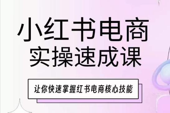 小红书电商实操速成课，让你快速掌握红书电商核心技能-吾爱网创