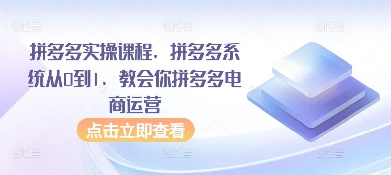 拼多多实操课程，拼多多系统从0到1，教会你拼多多电商运营-吾爱网创