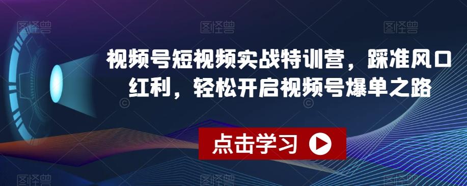 视频号短视频实战特训营，踩准风口红利，轻松开启视频号爆单之路-吾爱网创