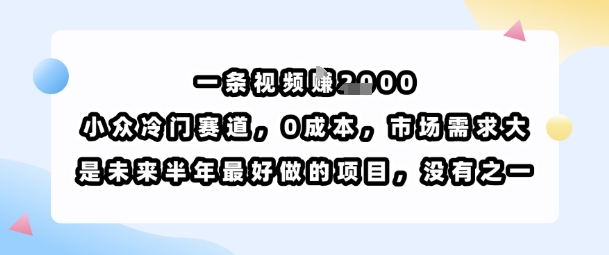 一条视频挣1k，小众冷门赛道，0成本，市场需求大，是未来半年最好做的项目，没有之一-吾爱网创
