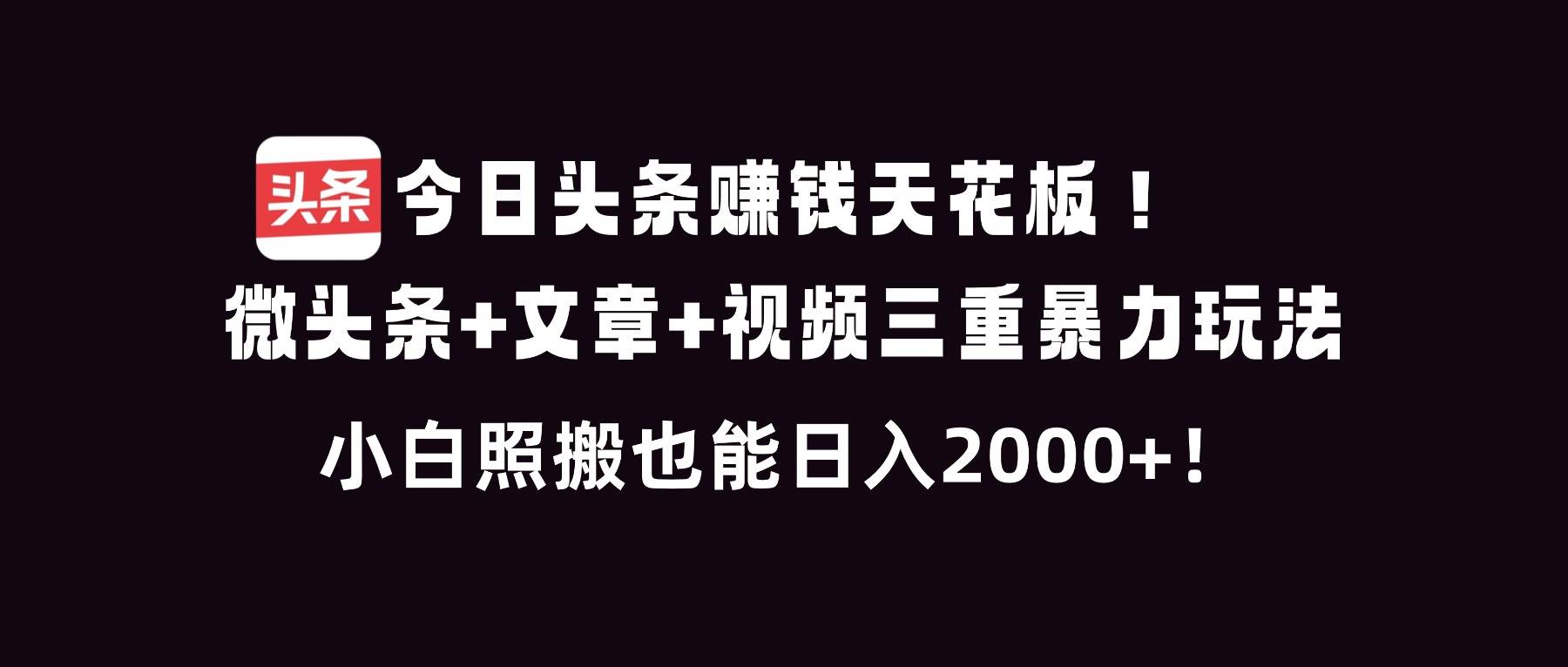 （16888期）今日头条赚钱天花板！微头条+文章+视频三重暴利玩法，小白照搬也能日人2000+-吾爱网创