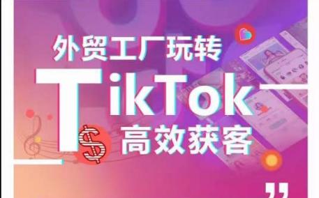 外贸工厂玩转TikTok高效获客，多种引流方式与账号定位技巧，拆解爆款短视频打造成功案例-吾爱网创