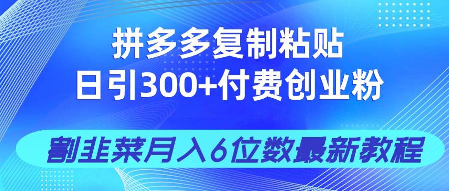 （14232期）拼多多复制粘贴日引300+付费创业粉，割韭菜月入6位数最新教程！-吾爱网创