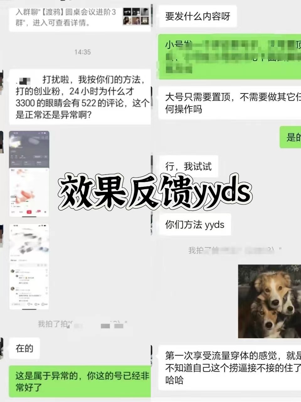 图片[3]-抖音小红书视频号全平台引流打法，全自动引流日引2000+精准客户-吾爱网创