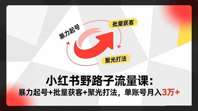 (16513期)小红书野路子流量课:暴力起号+批量获客+聚光打法,单账号月入3万+-吾爱网创