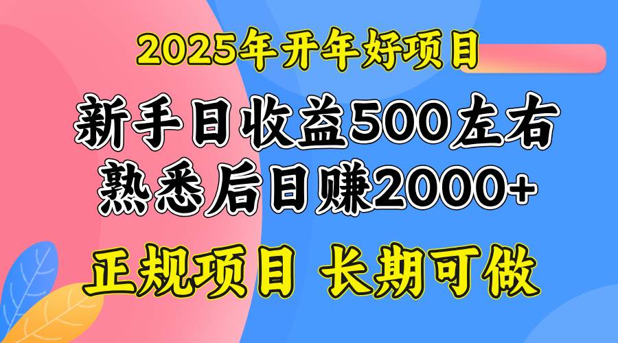 （14076期）2025开年好项目，单号日收益2000左右-吾爱网创