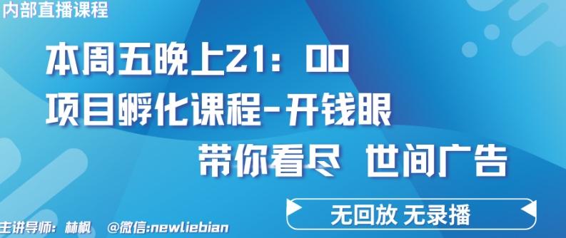 4.26日内部回放课程《项目孵化-开钱眼》赚钱的底层逻辑【揭秘】-吾爱网创