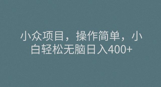 小众项目，操作简单，小白轻松无脑日入400+-吾爱网创