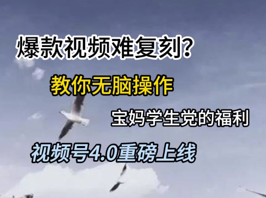 视频号4.0重磅上线，爆款视频难复刻？教你无脑操作宝妈学生党的福利【揭秘】-吾爱网创