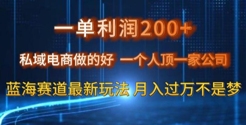一单利润200私域电商做的好，一个人顶一家公司蓝海赛道最新玩法【揭秘】-吾爱网创