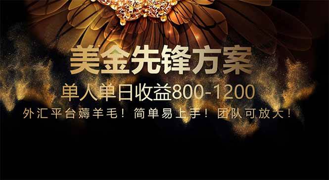 （14761期）免费技术！小众赛道！一年布局抵三年努力，每日800+-吾爱网创