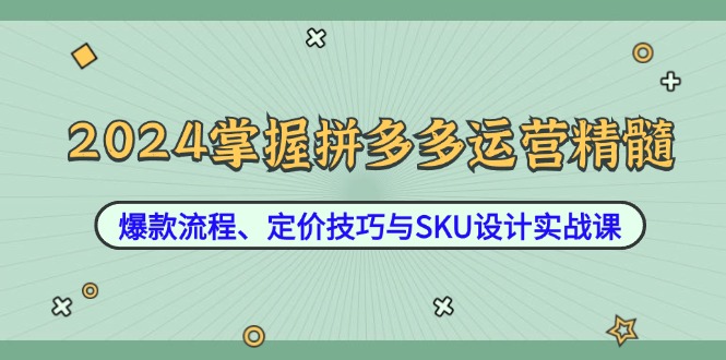 2024掌握拼多多运营精髓:爆款流程、定价技巧与SKU设计实战课-吾爱网创