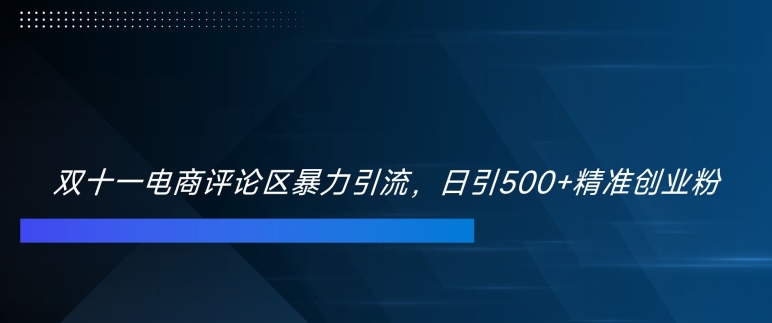 双十一电商评论区暴力引流，日引500+精准创业粉【揭秘】-吾爱网创