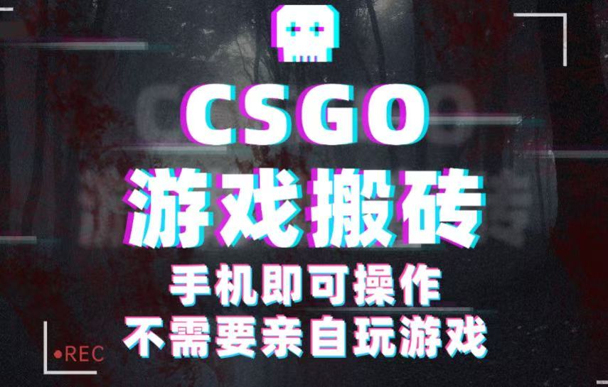 CSGO游戏挂机捡漏，单日扫货500+，年底小高峰上车可吃肉，手机即可操作兼职副业-吾爱网创