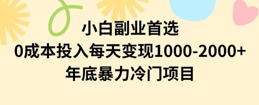 小白副业首选，0成本投入，每天变现1000-2000年底暴力冷门项目【揭秘】-吾爱网创