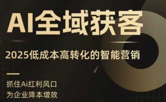 AI全域获客实训营，2025低成本高转化的智能营销，精准找客，高效营销-吾爱网创