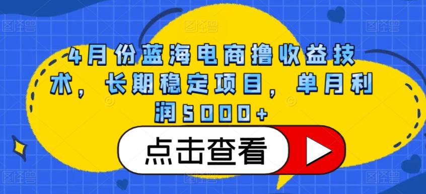 4月份蓝海电商撸收益技术，长期稳定项目，单月利润5000+【揭秘】-吾爱网创