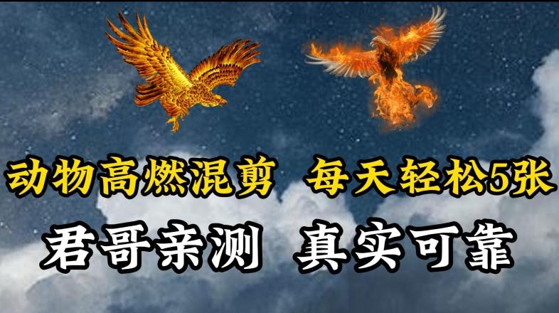 动物超燃混剪，每天轻松5张，剪辑简单大家爱看【揭秘】-吾爱网创
