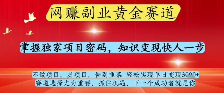 网创副业黄全赛道,掌握独家项目密码,知识变现快人一步,告别韭菜轻松实现单日变现1k+【揭秘】-吾爱网创