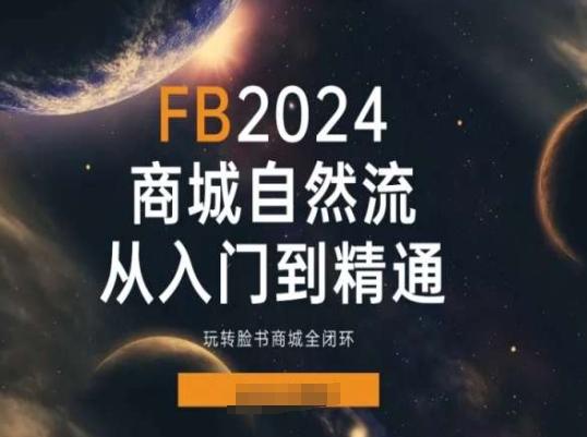 2024Faceboo商城自然流(从入门到精通)，玩转脸书商城全闭环-吾爱网创