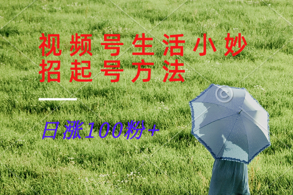 视频号生活小妙招分享赛道， 起号涨粉新方法，日涨100粉-吾爱网创