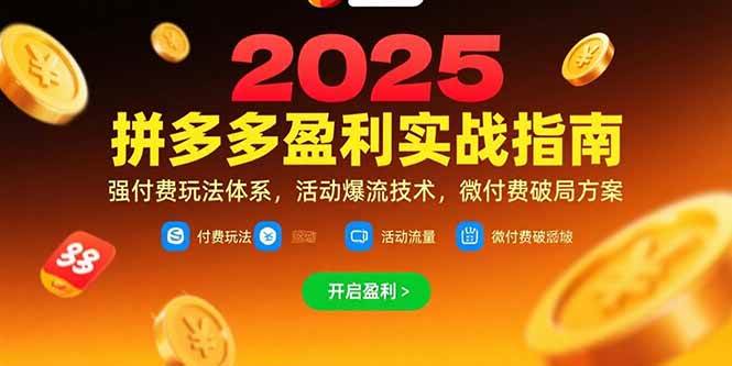 （15357期）拼多多盈利实战指南，强付费玩法，活动爆流技术，微付费破局方案(更新7月)-吾爱网创