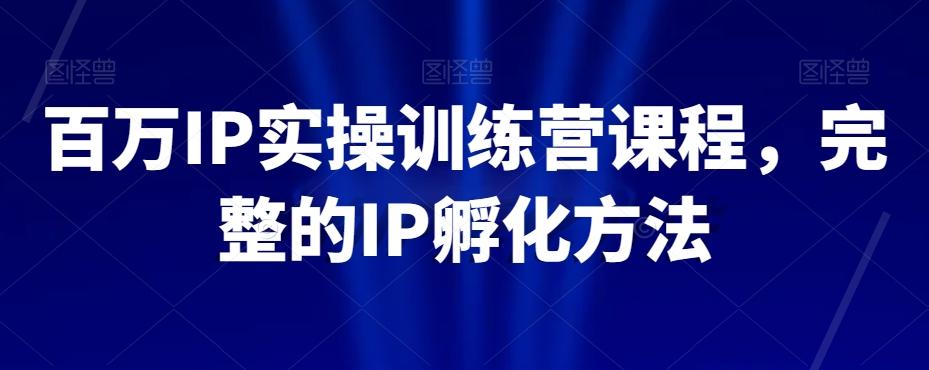 百万IP实操训练营课程，完整的IP孵化方法-吾爱网创
