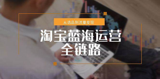 （15160期）淘宝蓝海运营全链路，从选品到流量变现，小类目突围完整方案-吾爱网创