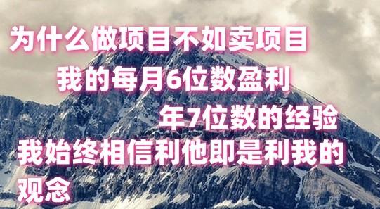 做项目不如卖项目，每月6位数盈利，年7位数经验-吾爱网创