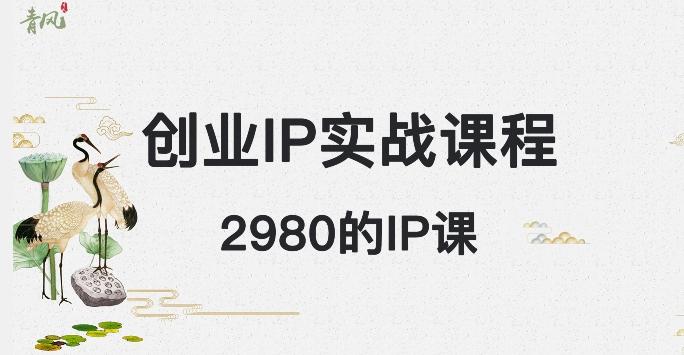 外边卖2980的创业IP课程，做私域月入5w+-吾爱网创